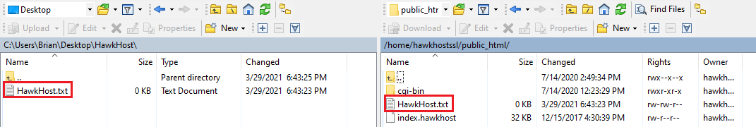 WinSCP dual-pane interface showing "HawkHost.txt" selected in both the local and remote file lists.