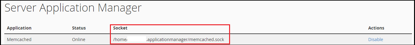 Server Application Manager screen showing the file path in the "Socket" column highlighted with a red box.