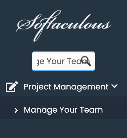 Manage Your Team in Softaculous