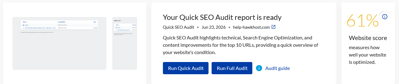 Quick Audit Results